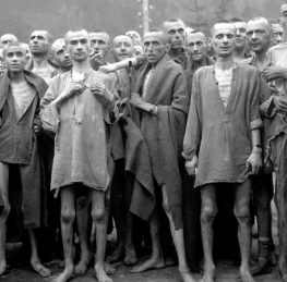 {{brizy_dc_image_alt imageSrc=